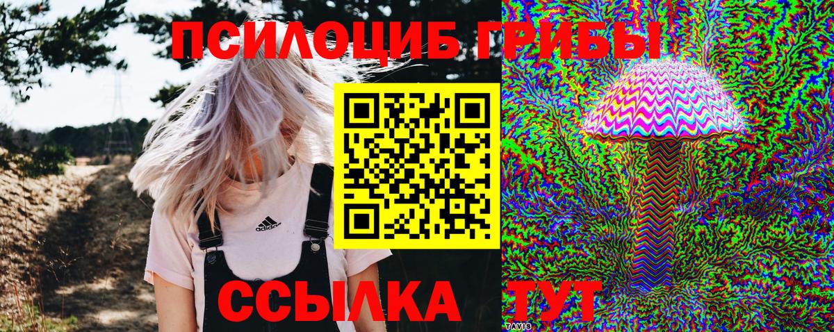 Псилоцибиновые грибы Psilocybine cubensis Тверь